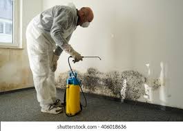 Mold Remediation for Vacation Homes in Childress, TX